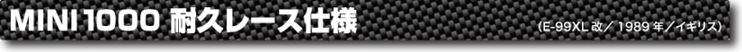 ミニレーシング